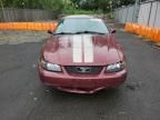 2004 Ford Mustang