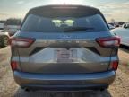 2024 Ford Escape ST Line