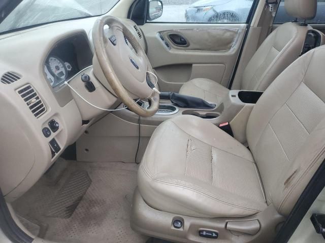 2005 Ford Escape Limited