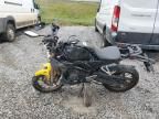 2024 Honda CBF300 NA