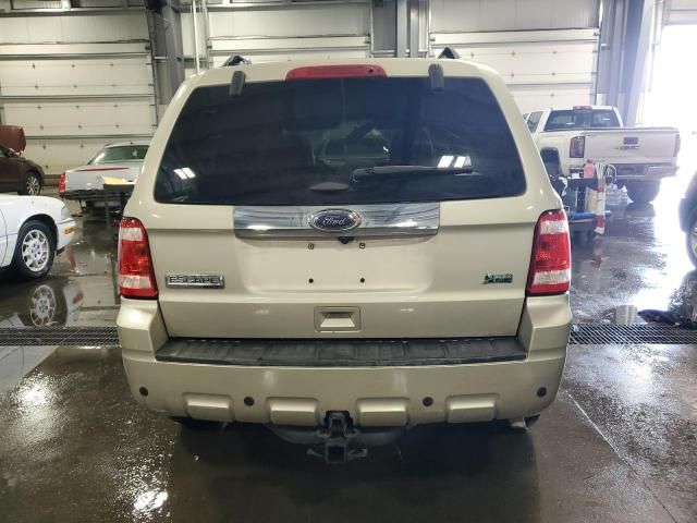 2011 Ford Escape Limited