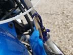 2009 Honda CMX250 C