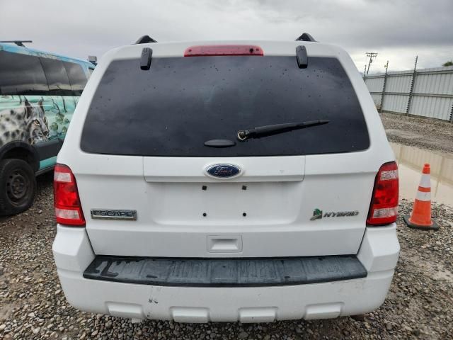 2011 Ford Escape Hybrid