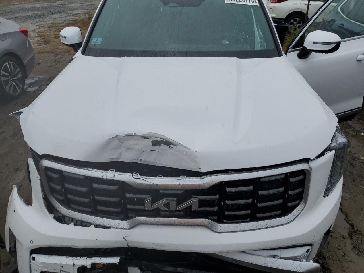 2025 KIA Telluride sx