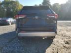 2023 Toyota Rav4 Adventure