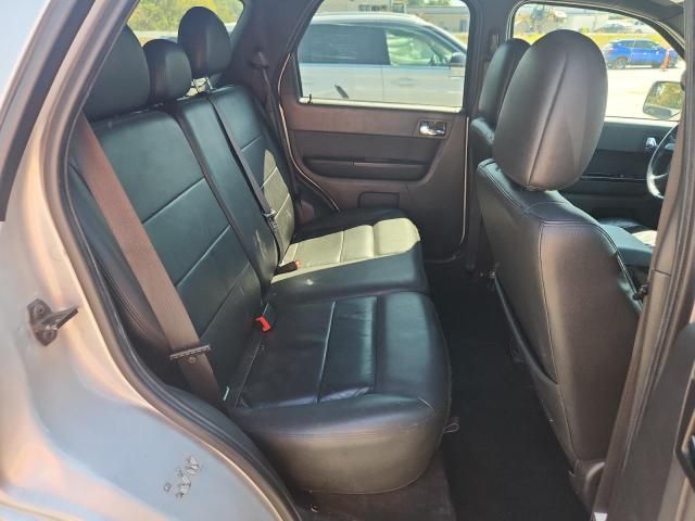 2010 Ford Escape Limited