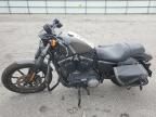 2019 Harley-Davidson XL883 N