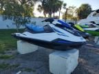 2024 Yamaha VX