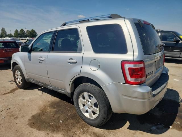 2010 Ford Escape Limited