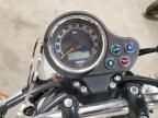 2013 Triumph Bonneville