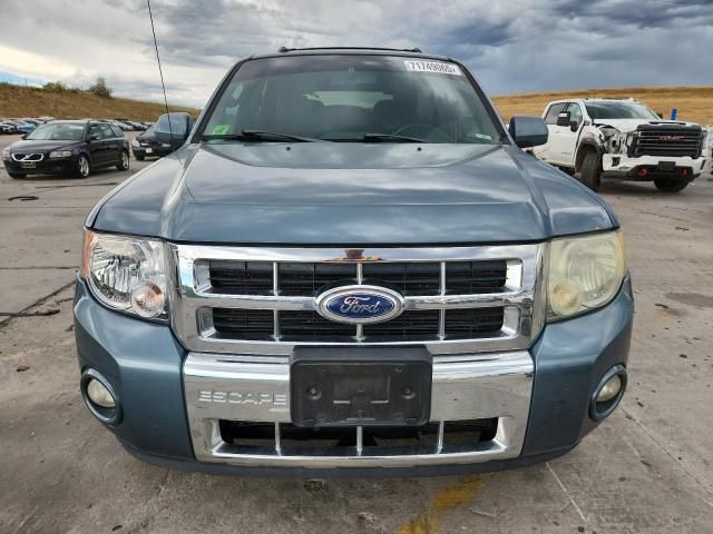 2011 Ford Escape Limited