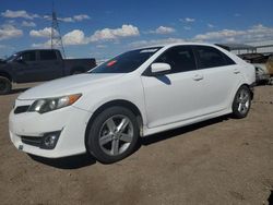 Vehiculos salvage en venta de Copart Adelanto, CA: 2014 Toyota Camry l
