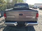 2004 Dodge Dakota Quad slt