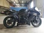 2023 Kawasaki ZX600P