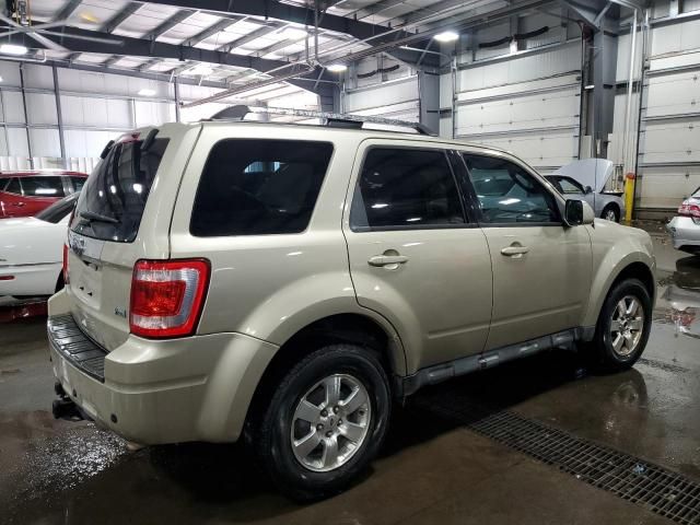 2011 Ford Escape Limited