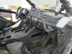2024 Polaris RZR PRO XP Sport