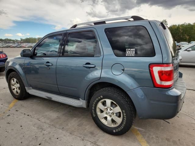 2011 Ford Escape Limited
