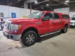 2010 Ford F150 Supercrew for sale in Blaine, MN