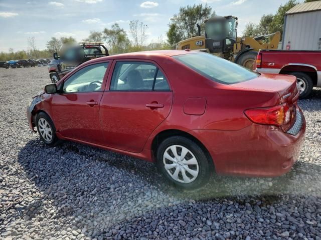 2009 Toyota Corolla Base