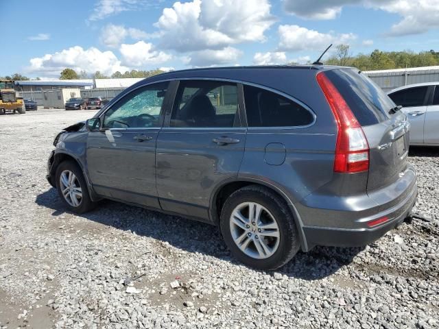 2010 Honda CR-V EXL
