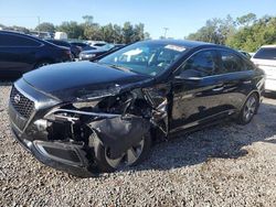 2016 Hyundai Sonata Hybrid for sale in Riverview, FL
