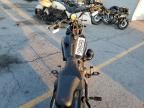 2023 Harley-Davidson Fxlrs