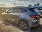2024 Ford Escape ST Line