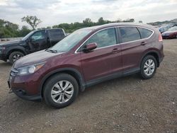 Honda crv salvage cars for sale: 2013 Honda CR-V EXL