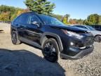 2023 Toyota Rav4 Adventure