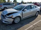 2013 Ford Fusion SE Phev