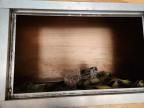 2017 Sure-Trac STRLP10224TA-100 Enclosed Cargo Trailer