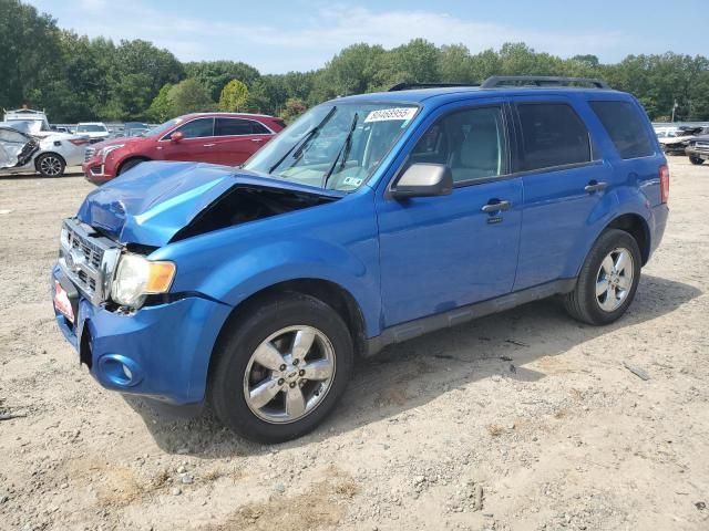 2012 Ford Escape XLT