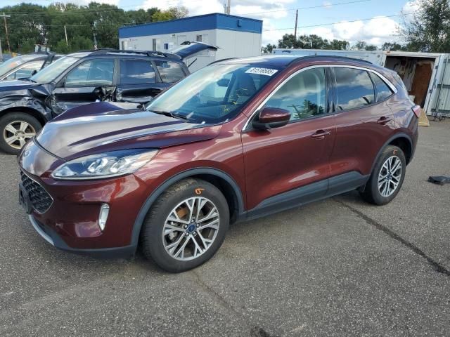 2021 Ford Escape SEL