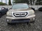 2009 Honda Pilot exl