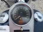2004 Harley-Davidson Flstci