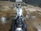 2005 Harley-Davidson XL883 L