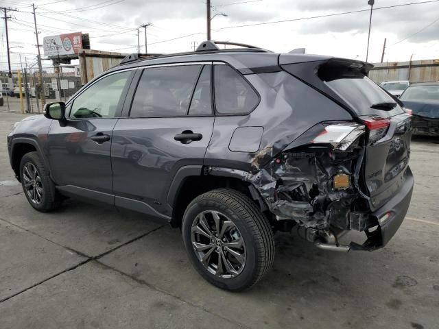 2025 Toyt 2025 Toyota Rav4 XLE Premium