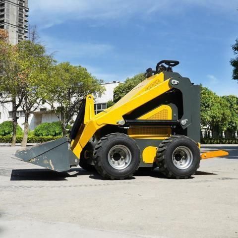 2025 Skdi 2025  Skid Steer