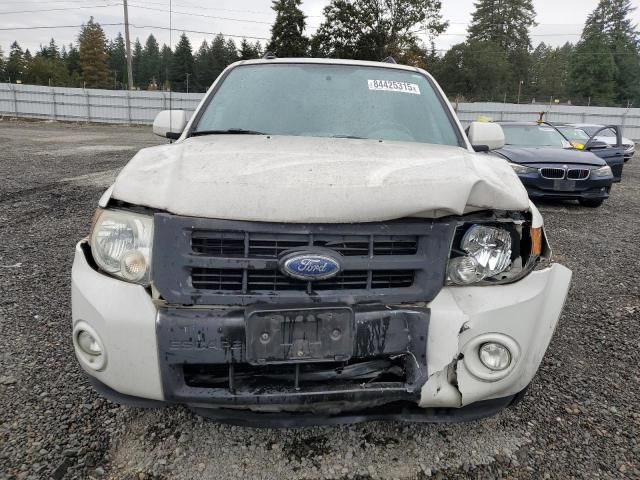 2009 Ford Escape Limited