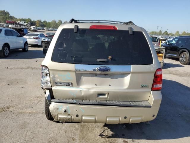 2011 Ford Escape Limited