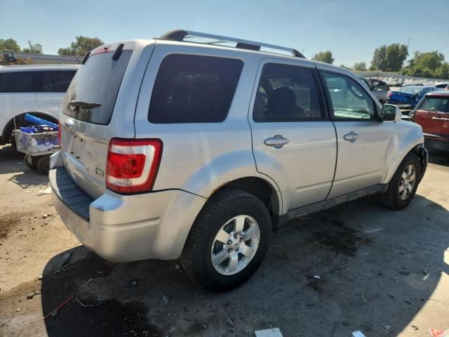 2010 Ford Escape Limited