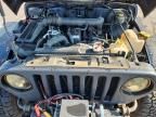 1997 Jeep Wrangler / TJ Sport