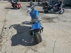 2006 Harley-Davidson Fxsti