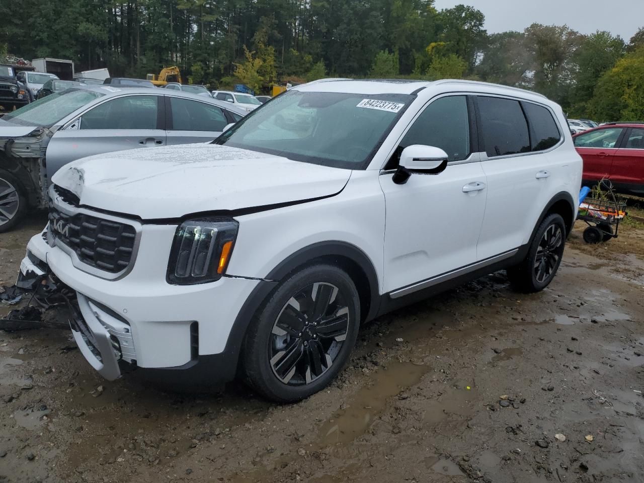2025 KIA Telluride sx