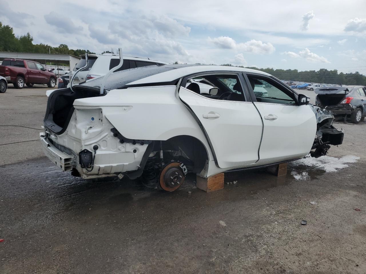 2020 Niss Maxima 3.5 sr