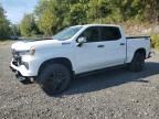 2025 Chevrolet Silverado K1500 LT Trail Boss