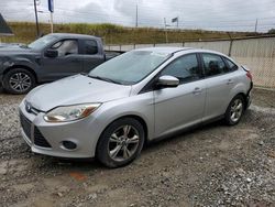 2014 Ford Focus SE for sale in Northfield, OH