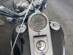 2003 Harley-Davidson Flstc