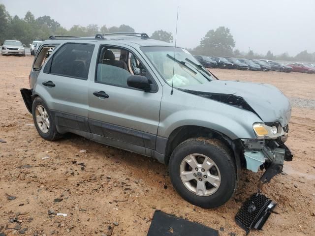2005 Ford Escape XLT