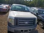 2010 Ford F150